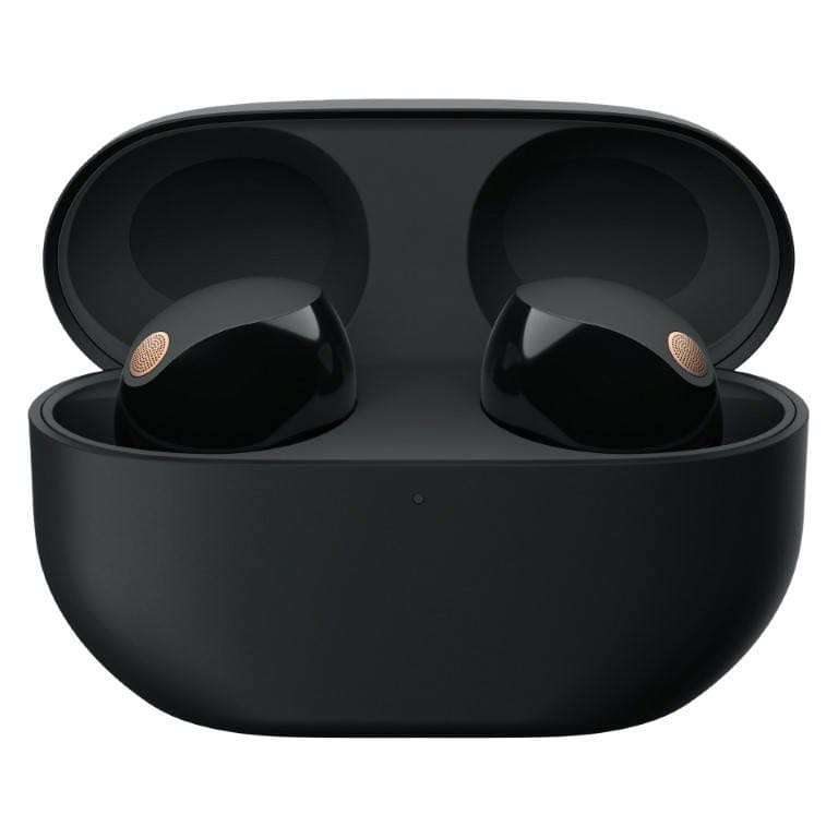 Sony WF-1000XM5 Wireless Noise Cancelling Earbuds - Black WF-1000XM5/BME