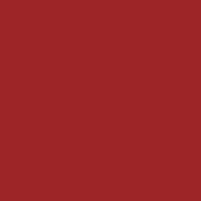 Cricut Premium Vinyl Removable 30x122cm 1-sheet Cardinal Red 2004311