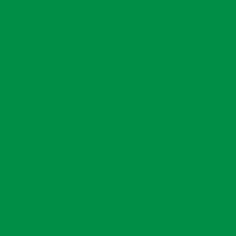Cricut Premium Vinyl Removable 30x122cm 1-sheet Green 2004312