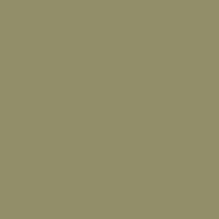 Cricut Everyday Iron-on 30x61cm 1-sheet Olive 2006799