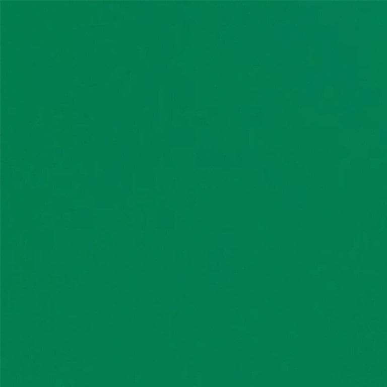 Cricut Joy Permanent Smart Vinyl 13.9x121.9cm 1-sheet Grass 2009839