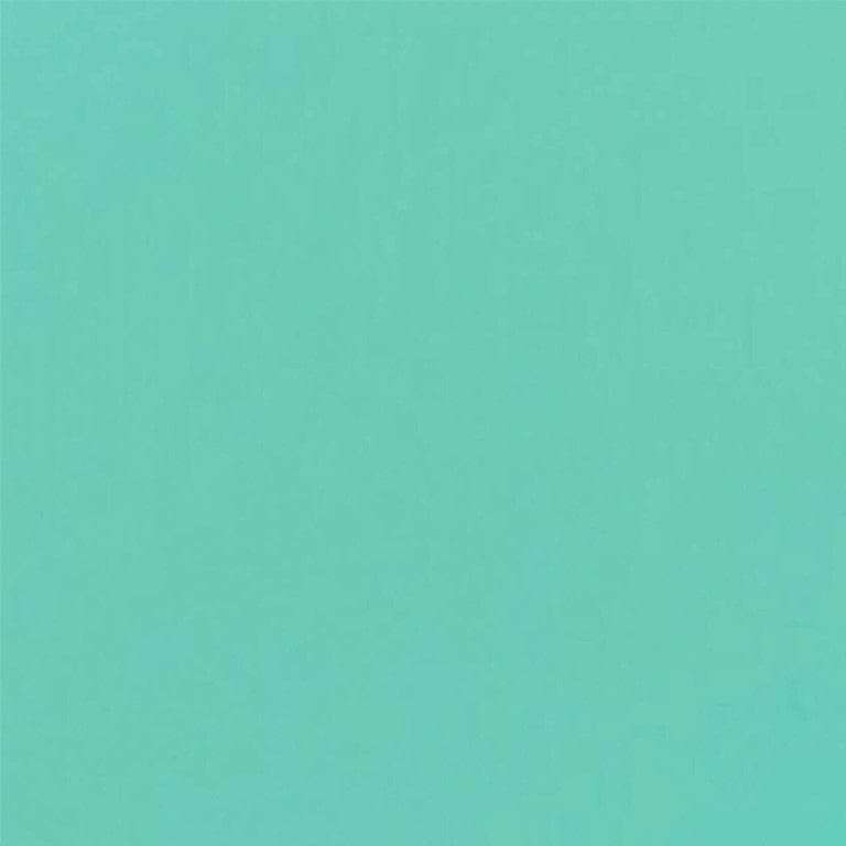 Cricut Joy Permanent Smart Vinyl 13.9x121.9cm 1-sheet Mint 2009840