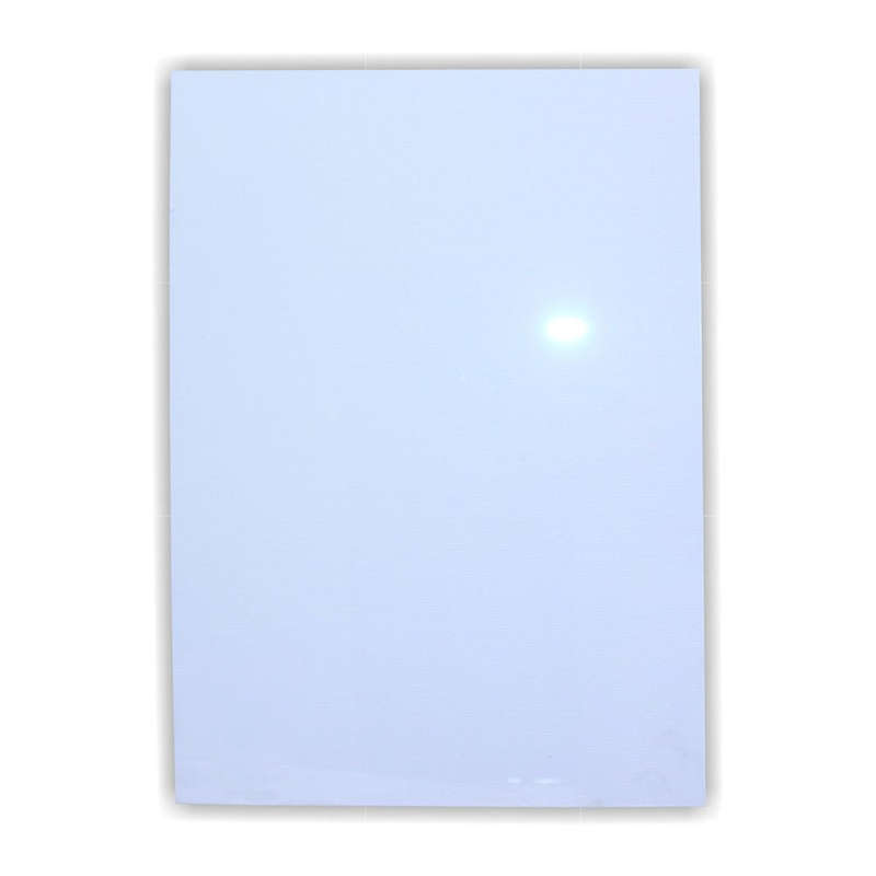 Parrot Poster Frame Clear Media Cover 1.2mm A3 BG0003