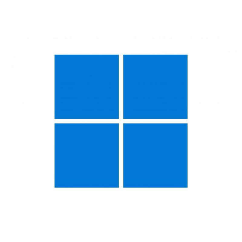 Microsoft Windows 11 Home to Pro Upgrade for Microsoft 365 Business - Perpetual License