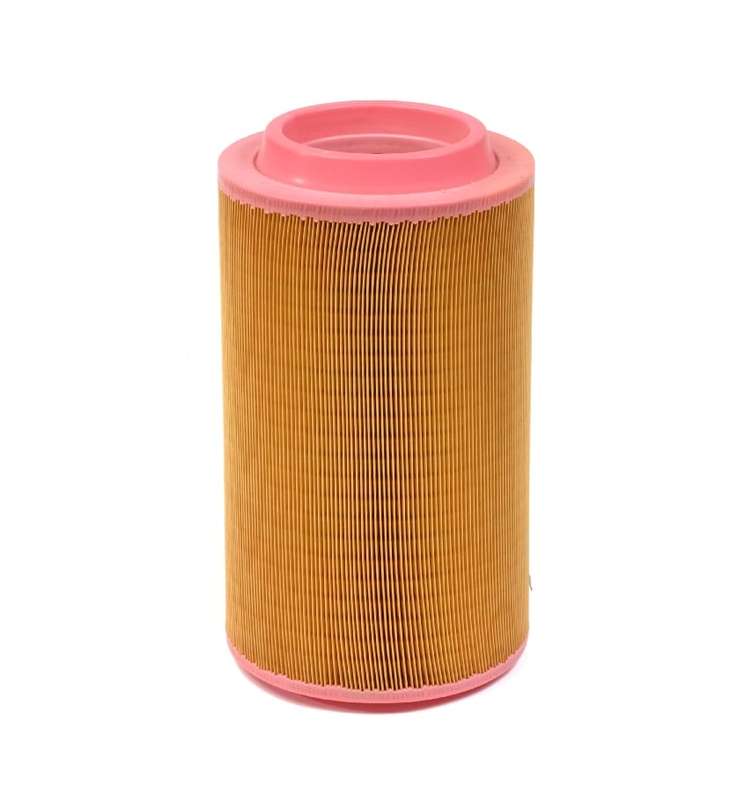 Air Filter - D150 Engine - BF6M1013EC - 01181003
