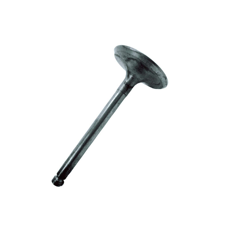 Valve Intake - BP10-G, BP13-G GTH999 & BP20S3-G - 0C2229