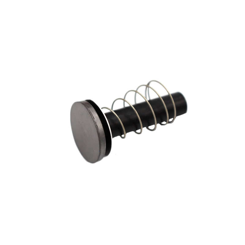 Plunger & Spring - GAS units Assembly - BP8,10,13, BP20S3-G - 0J8315A