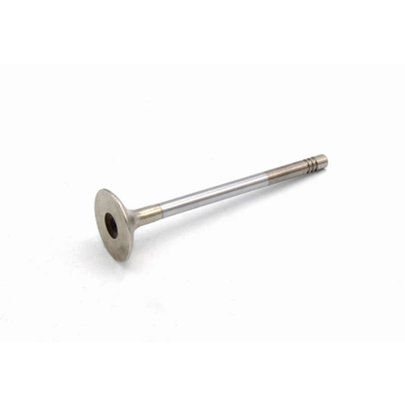 Valve Exhaust - BP10-G, BP13-G GTH999 & BP20S3-G - G086516