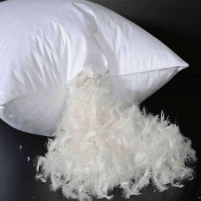 Feather Pillow