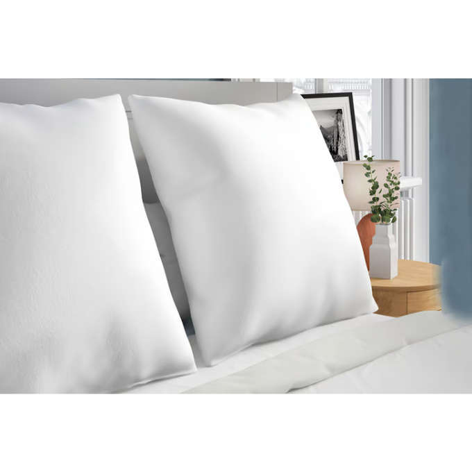 Twin Pack Pillows