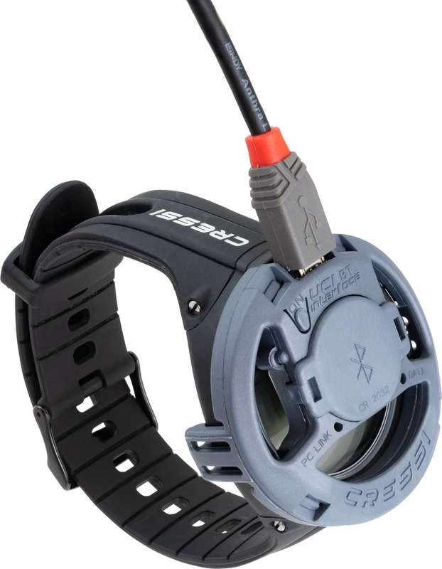 Interface BT Watch Style Computer