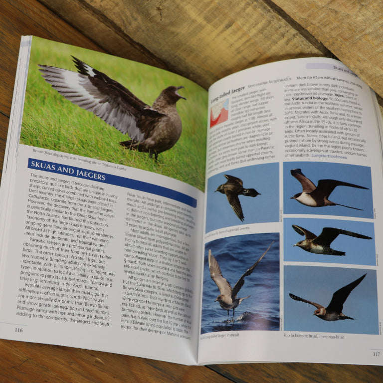 Guide to Seabirds of Southern Africa