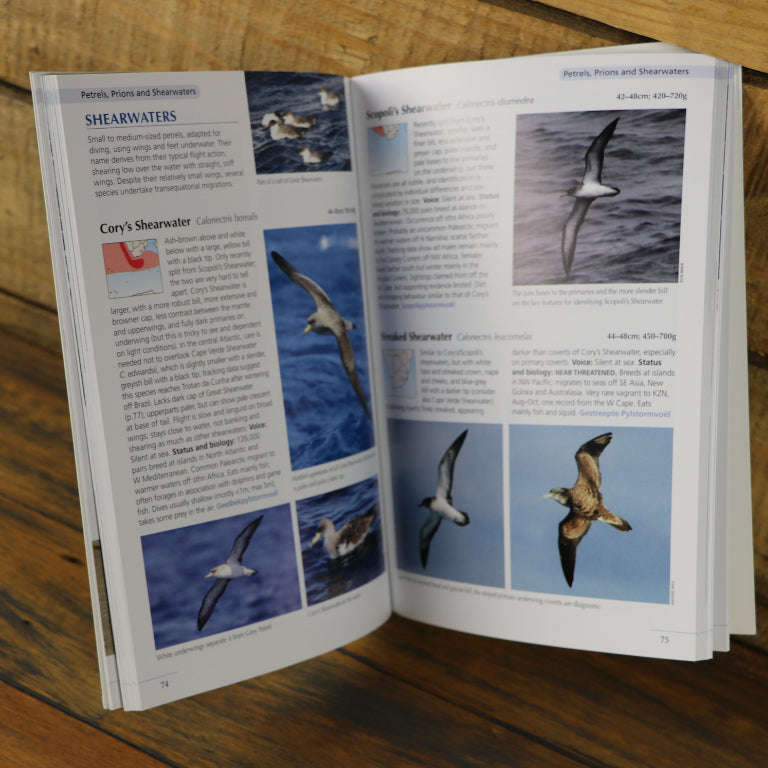 Guide to Seabirds of Southern Africa
