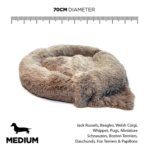 Long-Fur Fluffy Flokati Medium 70cm IREMIA Dog Bed 4.0 colours product GIF From Pets Planet - South Africas No.1 ePet Store for premium pet products, online pet shopping, best pet store near me, for dog beds, dog bed, plush dog bed, washable dog bed, fluffy dog bed, calming dog bed, relaxing dog bed, takealot dog bed, dog bed takealot, anxiety dog bed, donut dog bed, iremia dog bed, pet bed from a pet store Olivedale, pet store Bryanston, Pet Store Johannesburg