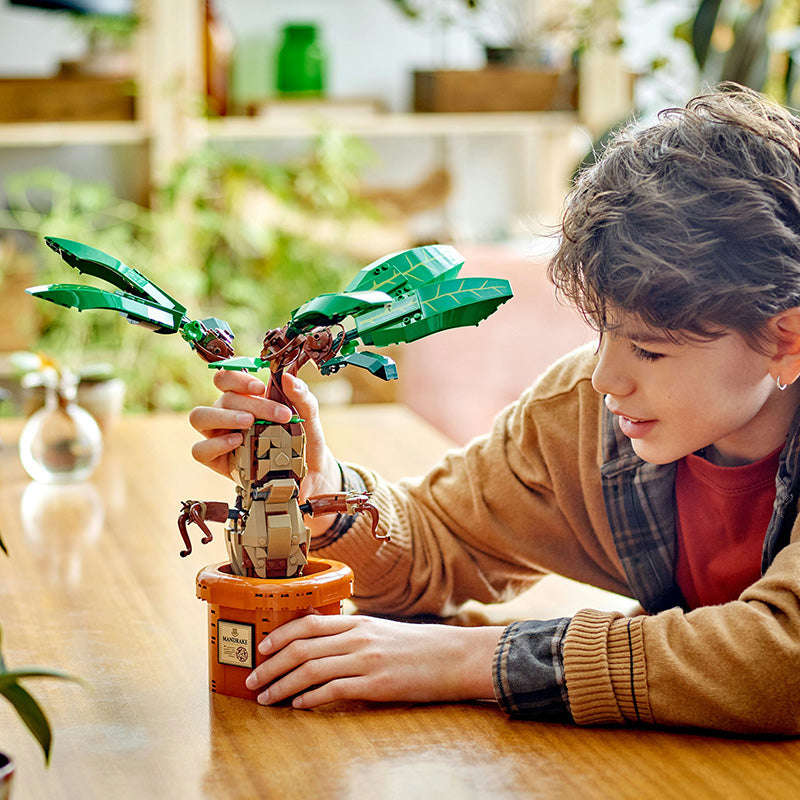 LEGO® 76433 - Harry Potter Mandrake