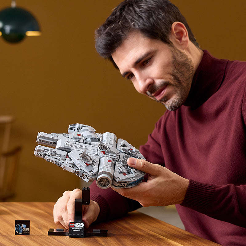 LEGO® 75375 Star Wars - Millennium Falcon V29