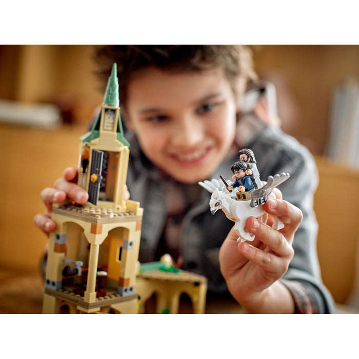 LEGO 76401 - Harry Potter Hogwarts Courtyard: Siriuss Rescue