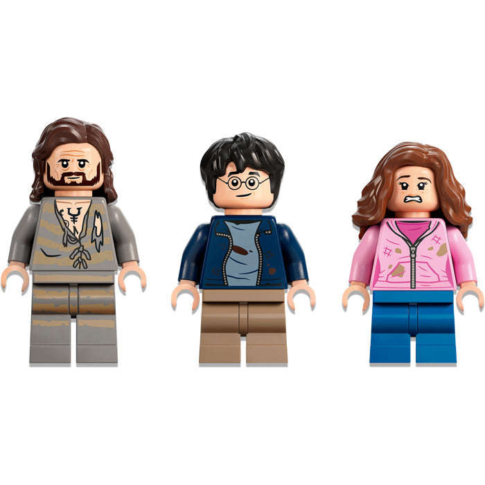 LEGO 76401 - Harry Potter Hogwarts Courtyard: Siriuss Rescue