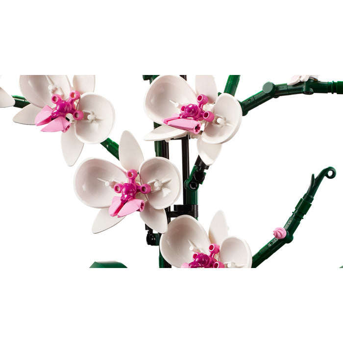 LEGO 10311 - Creator Expert Orchid
