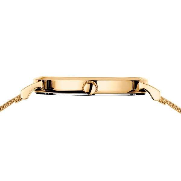 BERING Classic Women's Watch | 14134-331