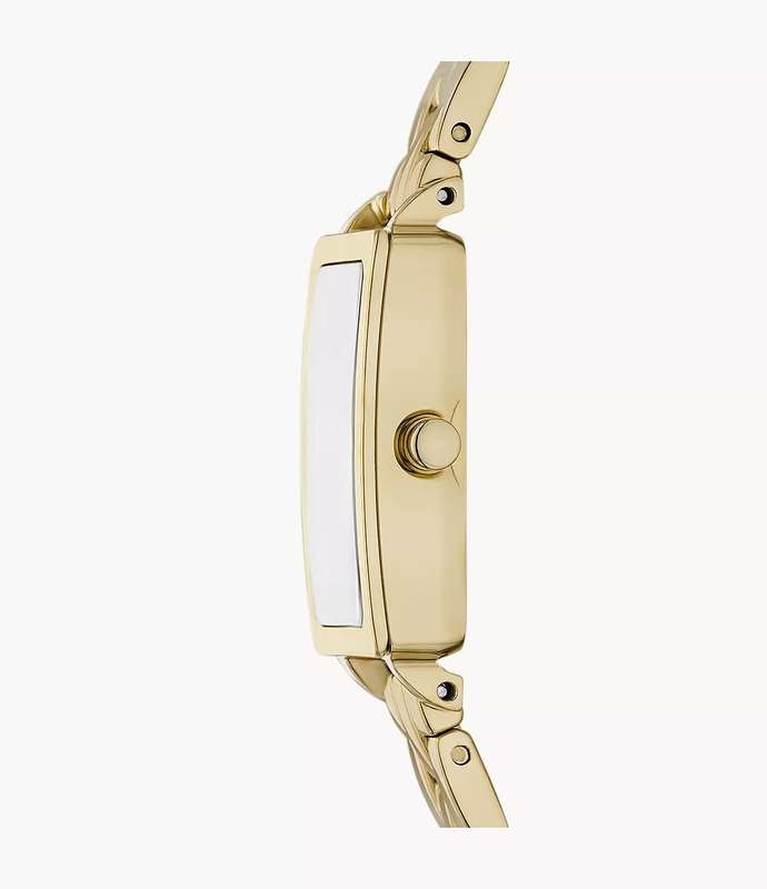 Skagen Hagen Micro Two-Hand Gold Stainless Steel Woman's Watch