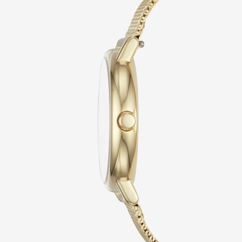Skagen Signatur Gold Round Stainless Steel Mesh Women's Watch | SKW2693