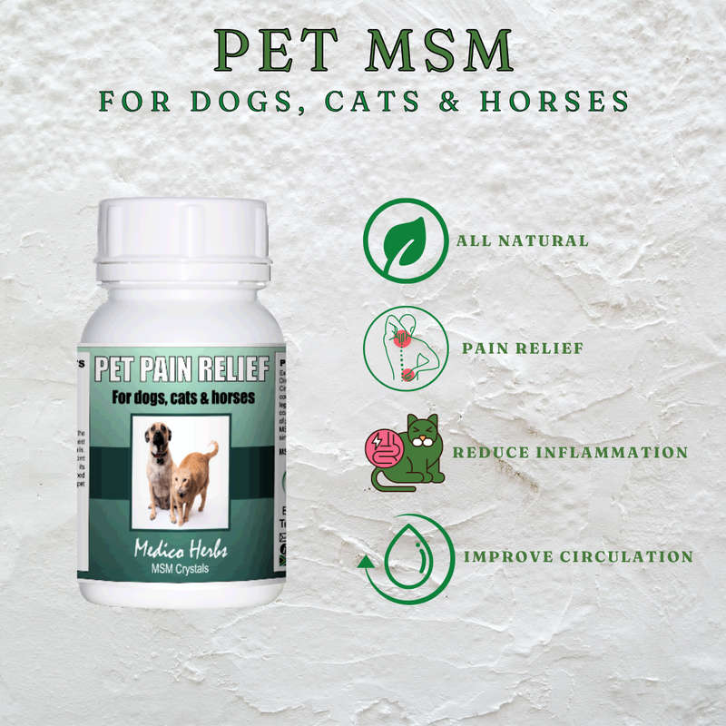 MSM Pet Pain Relief 90g Pure CP