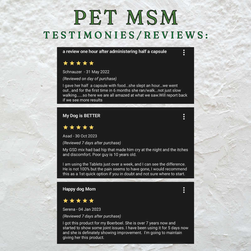 MSM Pet Pain Relief 90g Pure CP