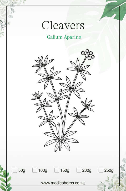 Cleavers Leaves 50g