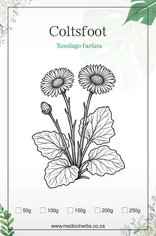 Coltsfoot Leaves 50g
