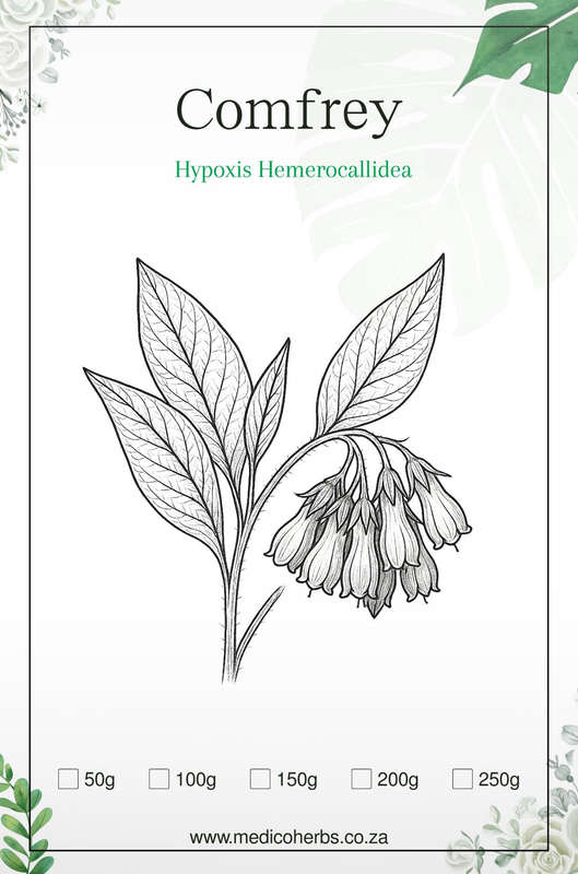 Comfrey Herb 100g