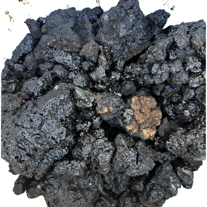 Hyraceum Dassiepis 100g