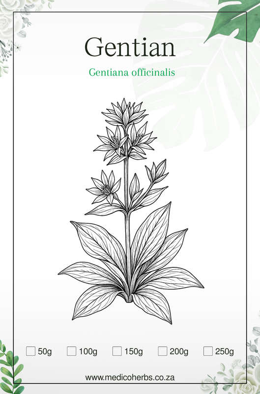 Gentian Rough Cut 50g
