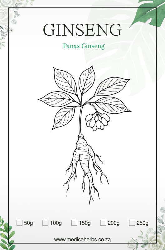 Ginseng Panax Powder 50g