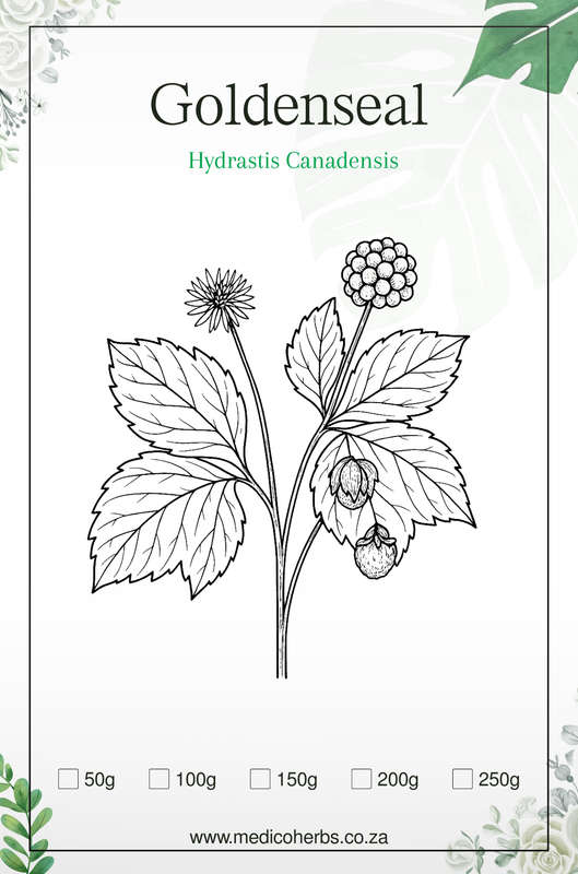 Goldenseal Powder 100g