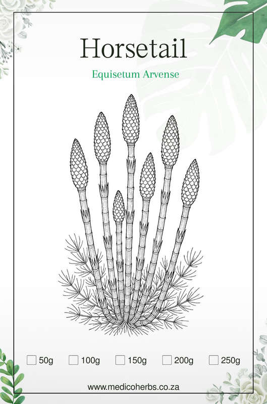 Horsetail Powder 50g