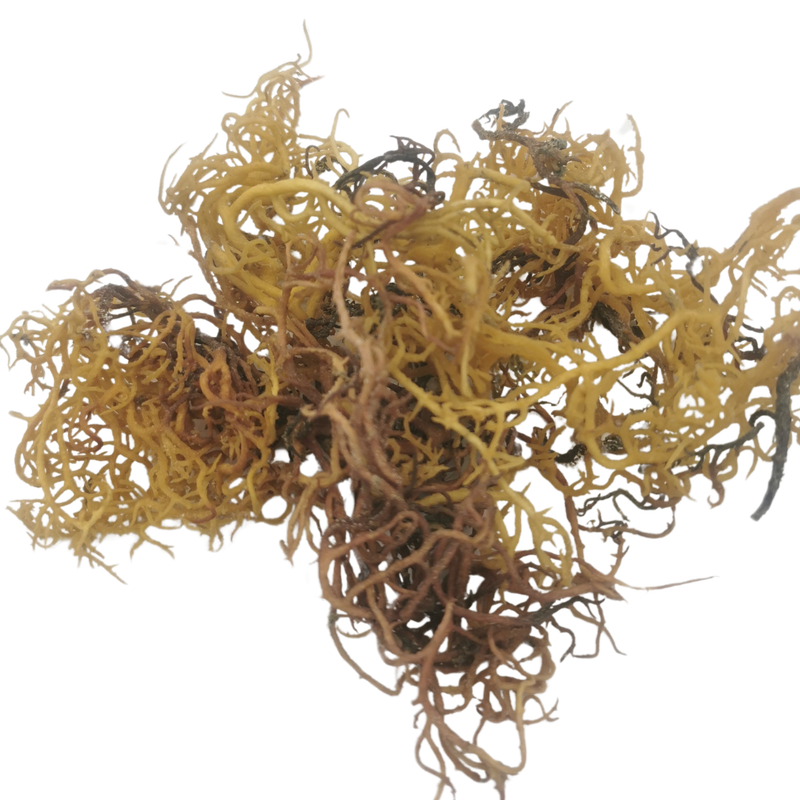 Sea Moss Wildcrafted 250g