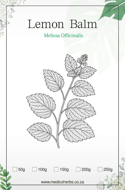 Lemon Balm Herb 200g
