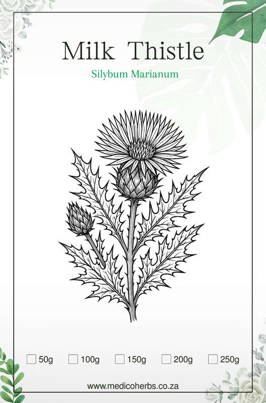 Milk Thistle Powder (Silybum Marianum) 50g