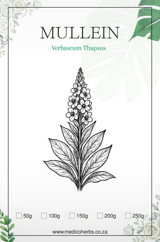Mullein Powder 50g
