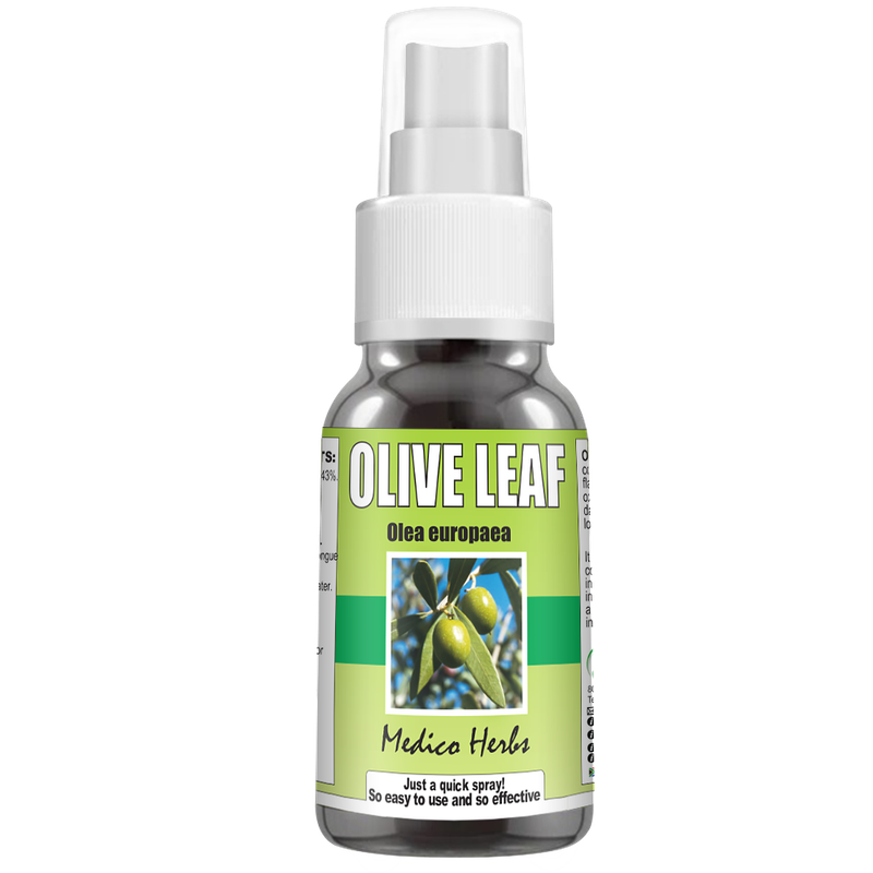 Olive Leaf Olea Europaea 50 ml spray