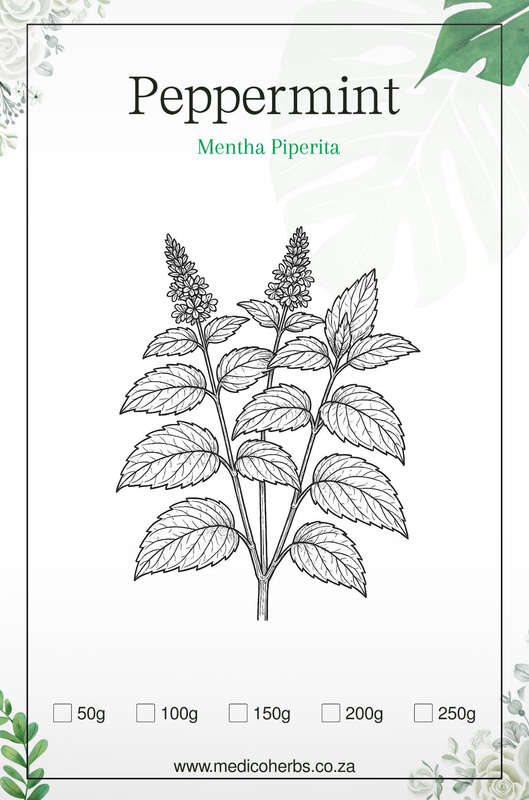 Peppermint Leaves 100g