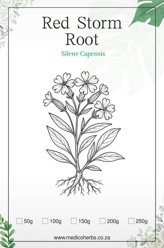 Red Strom Root 150g