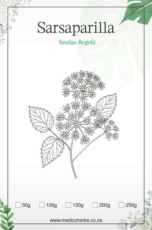 Sarsaparilla Powder 100g
