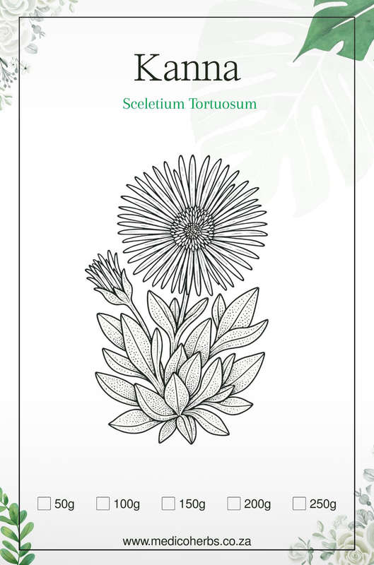 Sceletium Tortuosum (Kanna) DRIED HERB  50g
