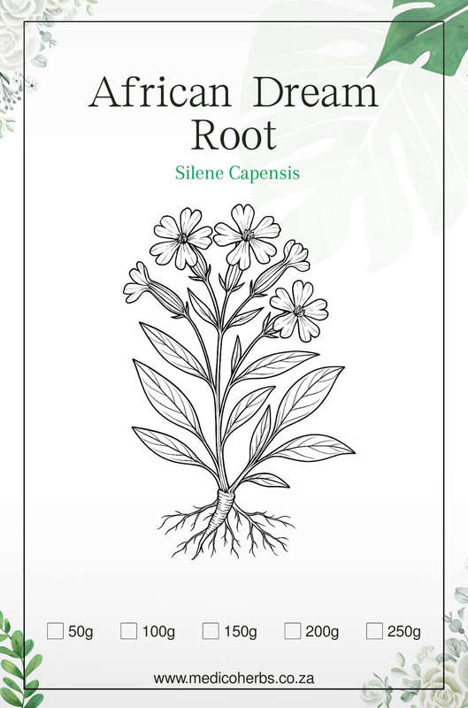 Silene Capensis Root 250g