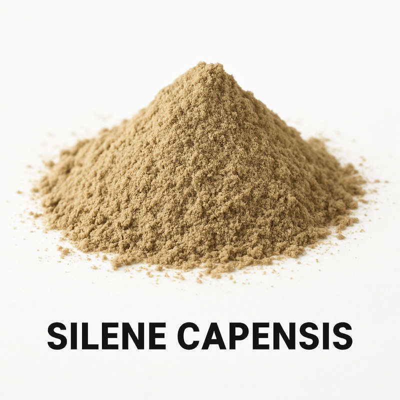 Silene Capensis Powder  African Dream Root | 100% Natural 1 Kg