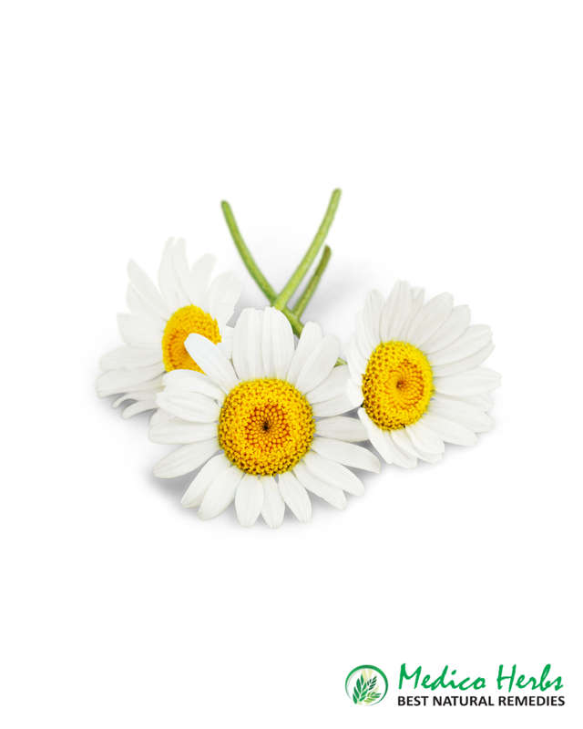 100% Pure Chamomile Tea