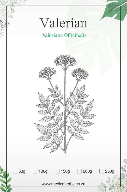 Valerian Herb 50g