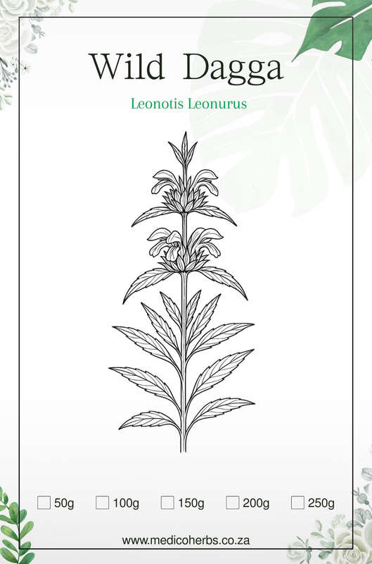 Wild Dagga (Leonotis Leonurus) Milled 50g